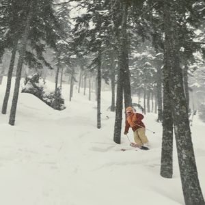 Meet your Posher, Adrian